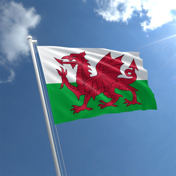 5x3ft Flag of Wales